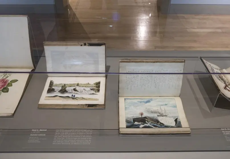 Books displayed in a glass case alongside museum labels.